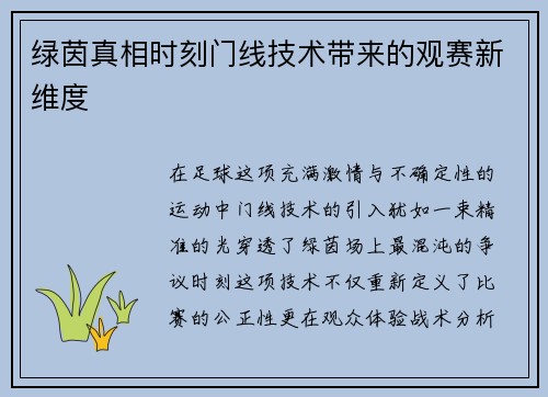 绿茵真相时刻门线技术带来的观赛新维度