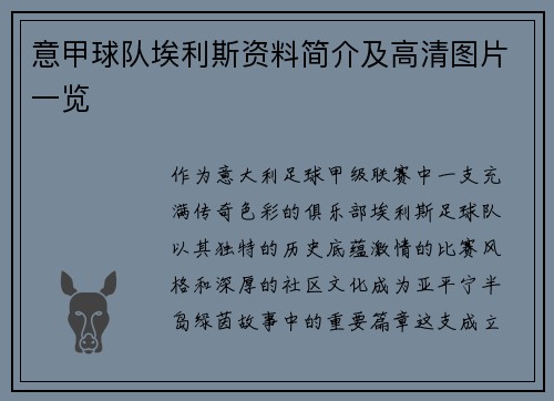 意甲球队埃利斯资料简介及高清图片一览