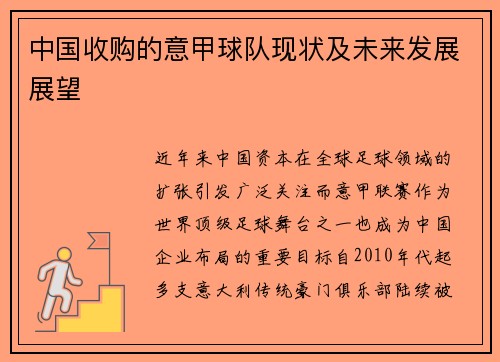 中国收购的意甲球队现状及未来发展展望